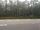 Bass River State Forest
