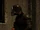 Jago Menendez Gimenez