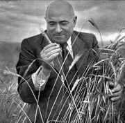 Matyas Rakosi