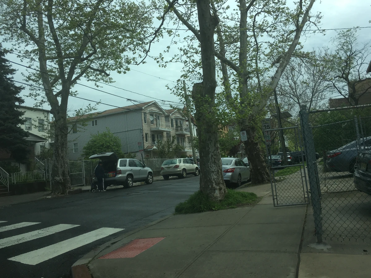 Waverly Street Historica Wiki Fandom