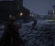 Arizona shooting Dewit V. Townzell