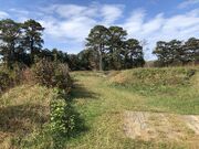 Allied trenches