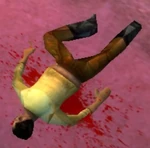 Ebo Cervantes Delgado