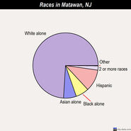 Race statistics in 2010
