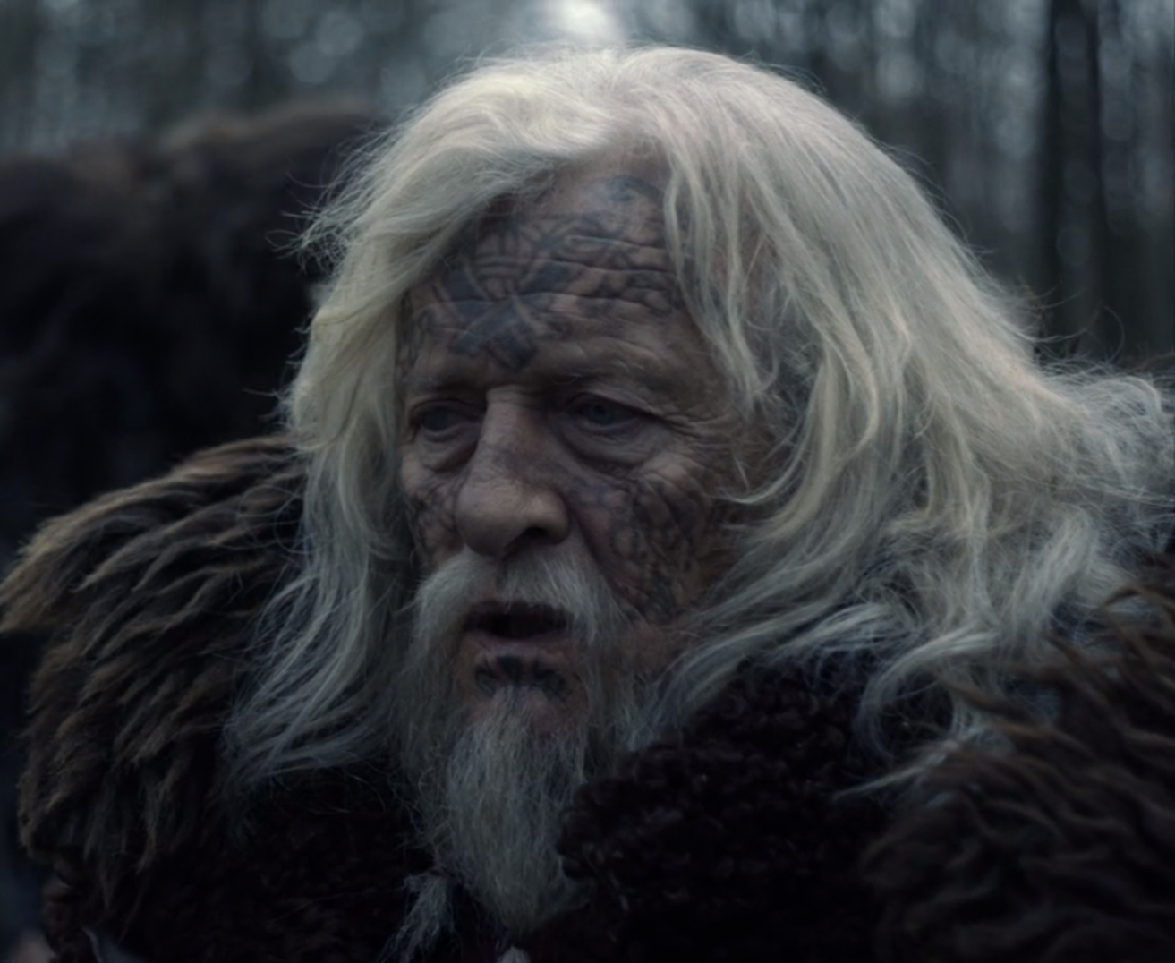 Ravn, The Last Kingdom Wiki