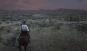 Arizona riding at dawn