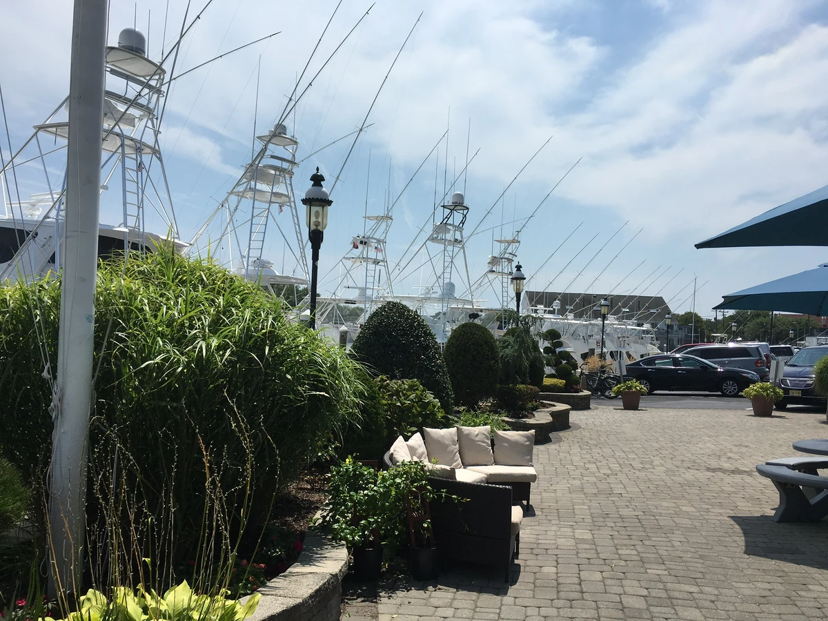 South Jersey Marina Historica Wiki Fandom