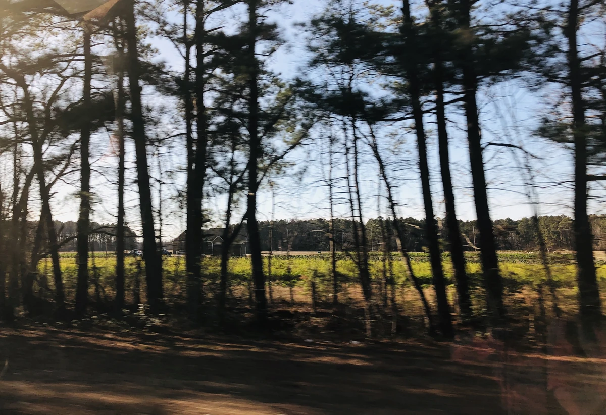 Castalia, North Carolina Historica Wiki Fandom