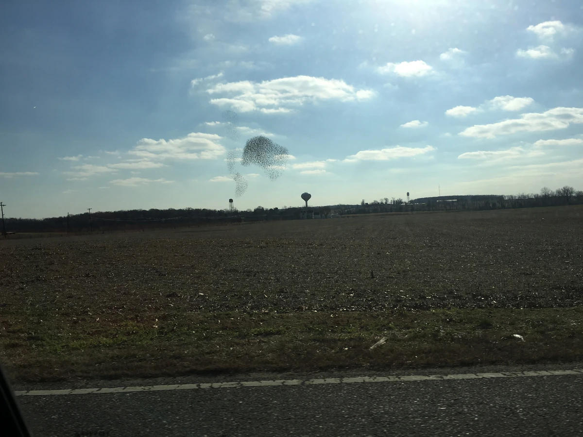 Bridgeton Historica Wiki Fandom