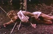 Pallas' death