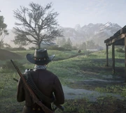 Arizona watching the Valentine law search for him