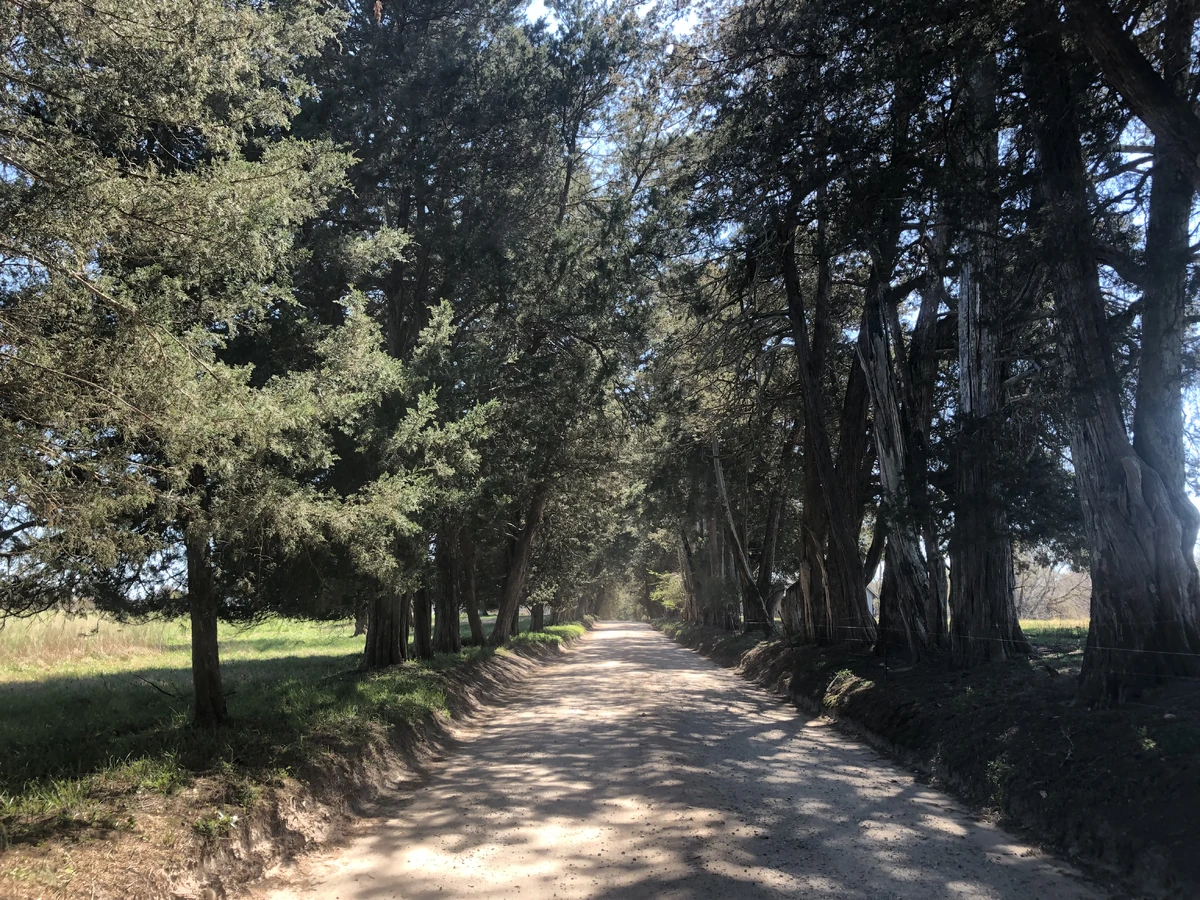 Tuckahoe Plantation Historica Wiki Fandom