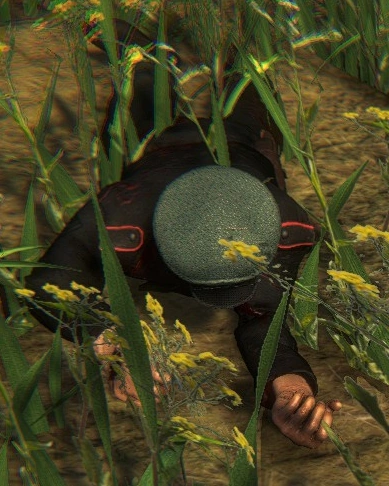 Denis Meyr | Historica Wiki | Fandom