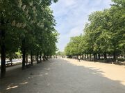 Jardin du Luxembourg