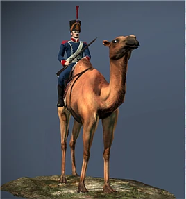 Dromedary Cavalry NTW