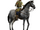 Native Lancers