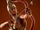Followers of Artemis
