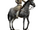 Cossack Ataman Cavalry