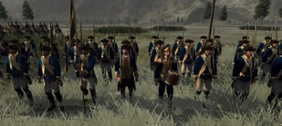 Шведская линейная пехота