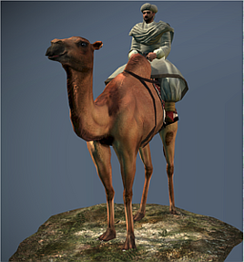 Camel Warriors NTW