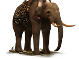 Elephant Musketeers