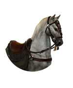 TW3K ANC M white thoroughbred