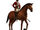 Native Indian Cavalry