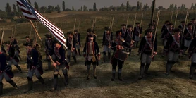 Американская линейная пехота