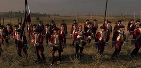 Польско-литовская линейная пехота