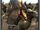 Moorish Tuareg Camel Spearmen