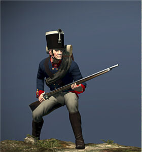 Napoleon: Total War, Total War Wiki