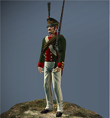 Lifeguard Foot Total War Wiki Fandom