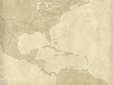 Пираты (фракция ETW)