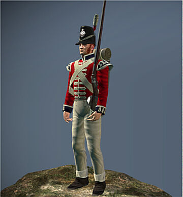 Napoleon: Total War, Total War Wiki