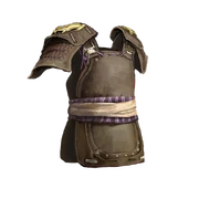 TW3K Professional's Raiment