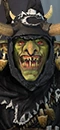 Night Goblin Warboss