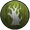 Gloomy Woodz Tribe