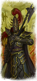 black guard of naggarond black guard of naggarond