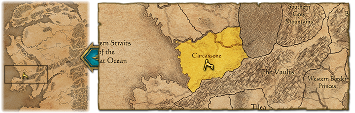 Carcassonne startpos