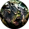Wh main anc greenskins orc shaman