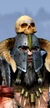 Nor marauder chieftain campaign 02 0