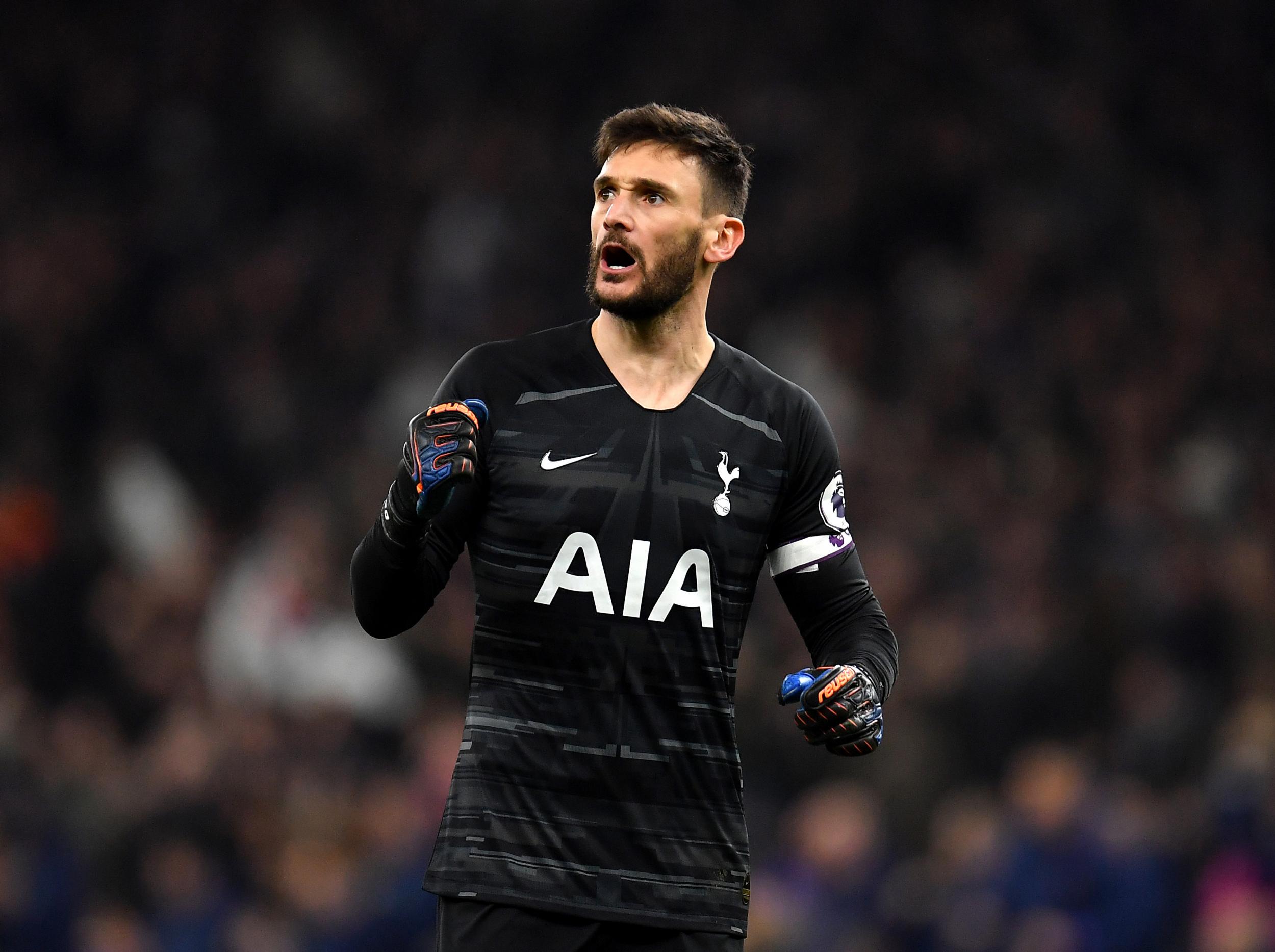 Hugo Lloris, Tottenham Hotspur Wiki