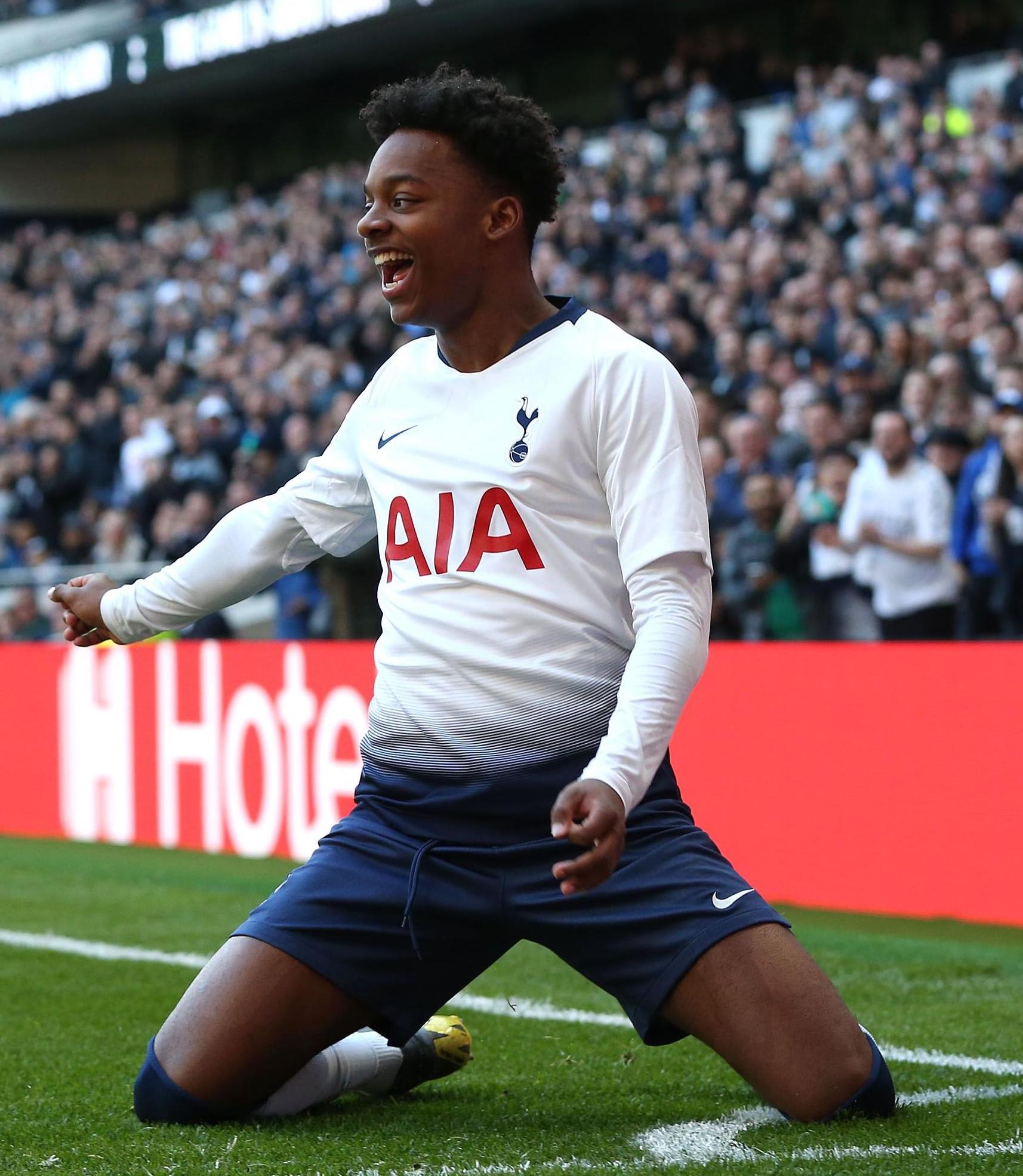 Tottenham Hotspur Stadium, Tottenham Hotspur Wiki