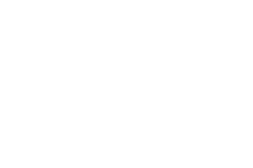 Adidas wiki top