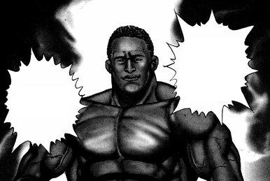 鋼の拳 Amazon.co.jp: Megaman ZX Tome 2 : 本