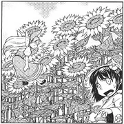 PMiSS gardenofthesun