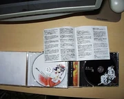 Comparison of DiPP C62 and Popular Versions