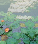 El Estanque en Shoot the Bullet