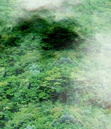 Pie de la Montaña Youkai en Legacy of Lunatic Kingdom