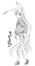 鈴仙 優曇華院 イナバ 東方project Wiki Fandom 鈴仙 優曇華院 イナバ 東方project Wiki Fandom